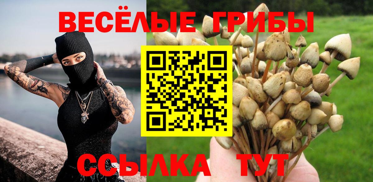 Псилоцибиновые грибы мицелий Дивногорск