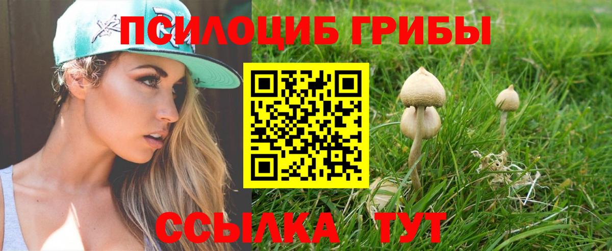 где найти   Псилоцибиновые грибы мухоморы  Вход с VPN  Дивногорск 
