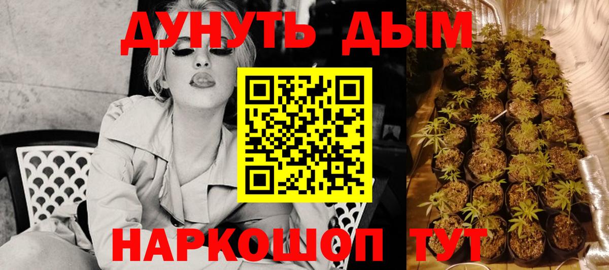 Дивногорск  Конопля SATIVA & INDICA  Каннабис семена  Канабис AK-47  Вход с VPN 